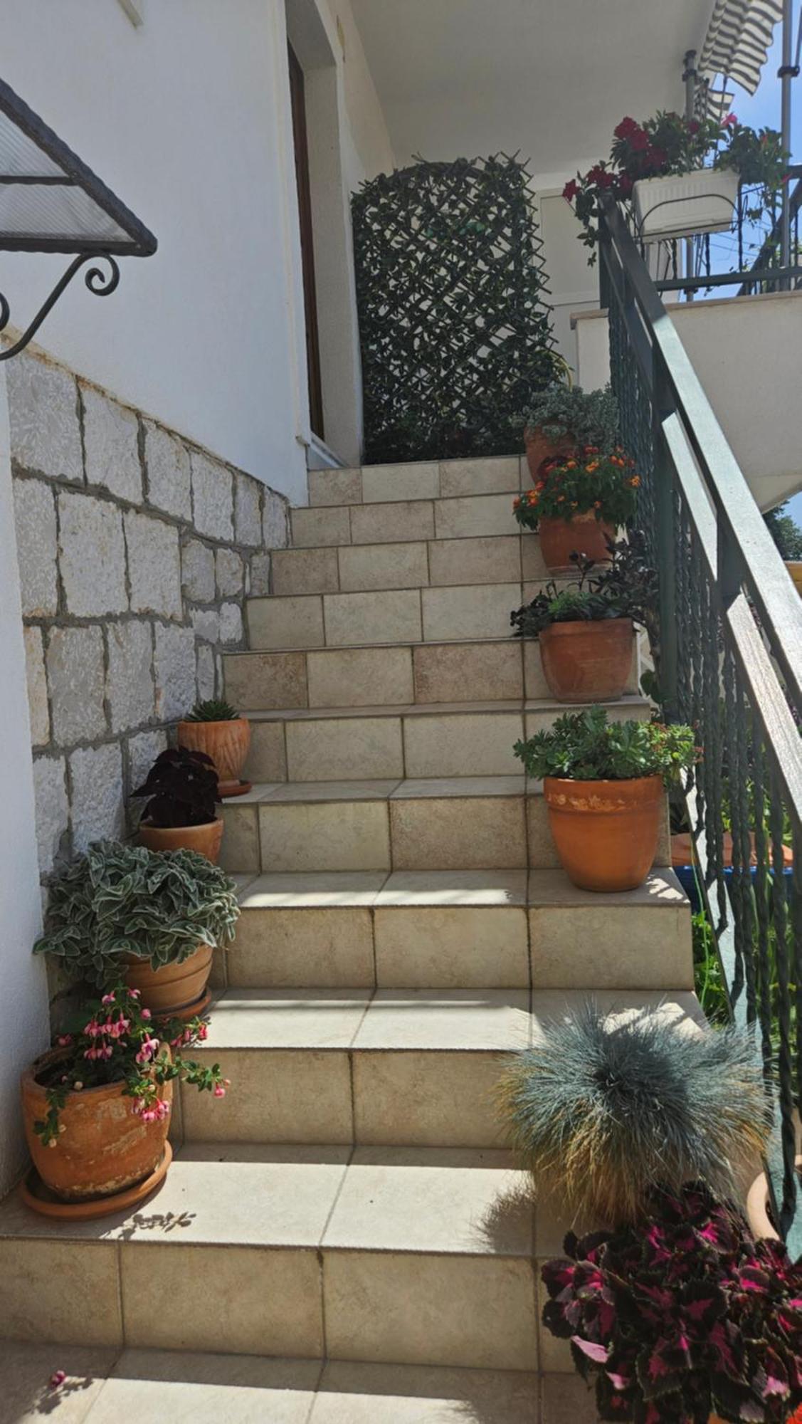 Viktorija Apartments Seget Vranjica Extérieur photo